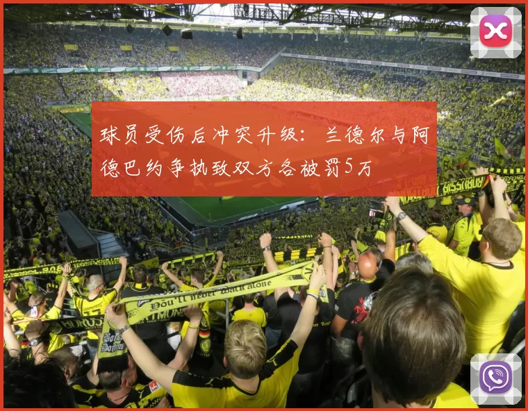 球员受伤后冲突升级：兰德尔与阿德巴约争执致双方各被罚5万