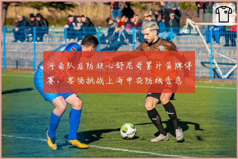 河南队后防核心舒尼奇累计黄牌停赛，客场挑战上海申花防线告急