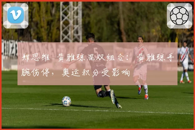 郑思维_黄雅琼混双组合：黄雅琼手腕伤停，奥运积分受影响
