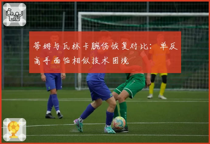 蒂姆与瓦林卡腕伤恢复对比：单反高手面临相似技术困境