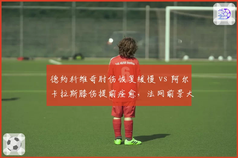 德约科维奇肘伤恢复缓慢 vs 阿尔卡拉斯膝伤提前痊愈，法网前景大不同