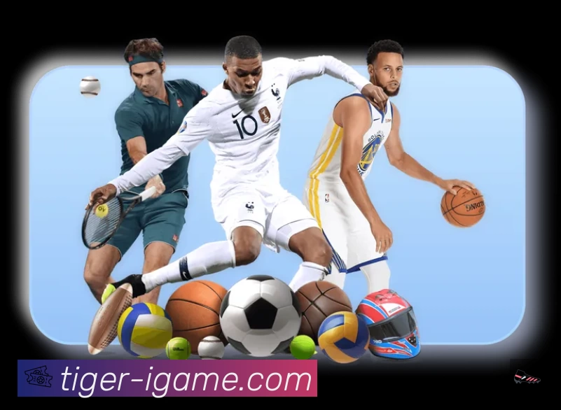 爱游戏APP 封面图